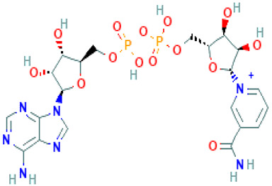 graphic file with name molecules-26-04961-i002.jpg