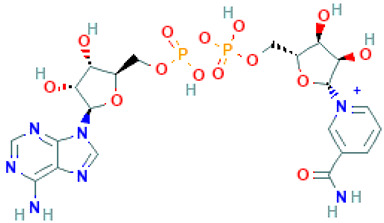 graphic file with name molecules-26-04961-i001.jpg