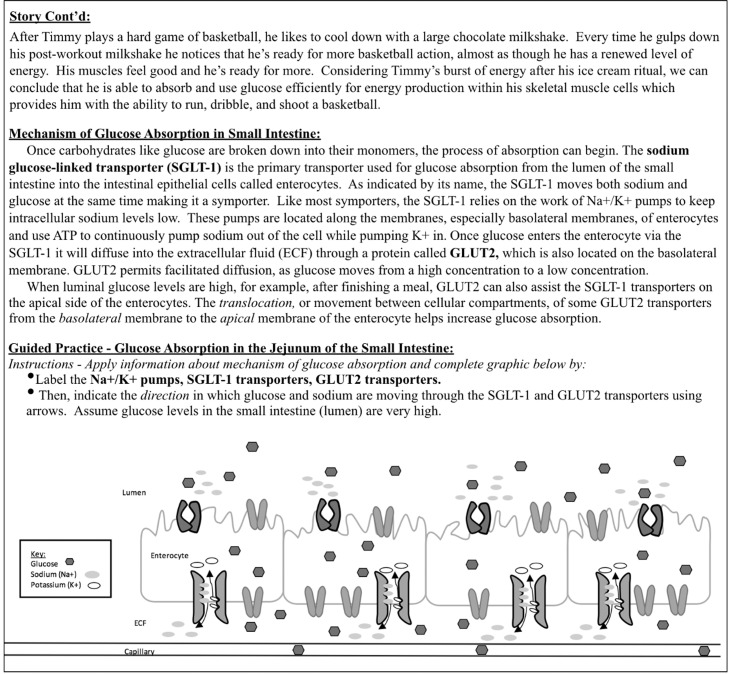 FIGURE 1.