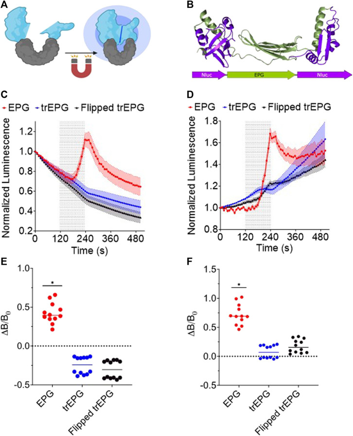 FIGURE 3