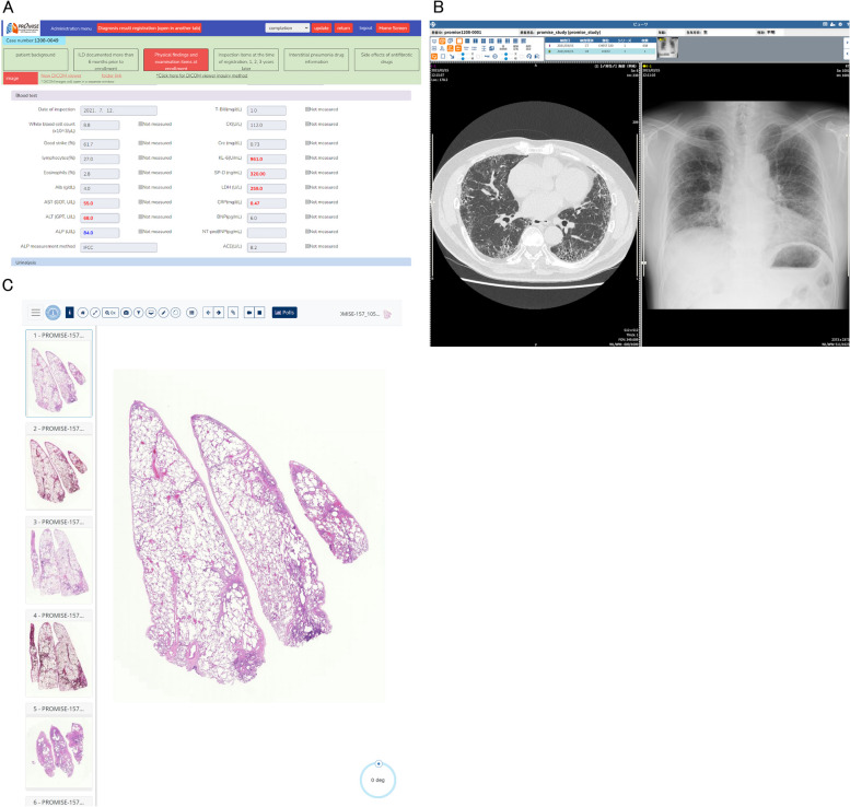 Fig. 2