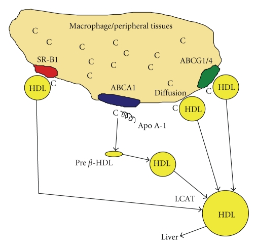 Figure 10