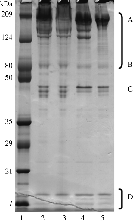 Figure 2.