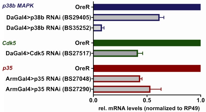 Figure 4—figure supplement 1.