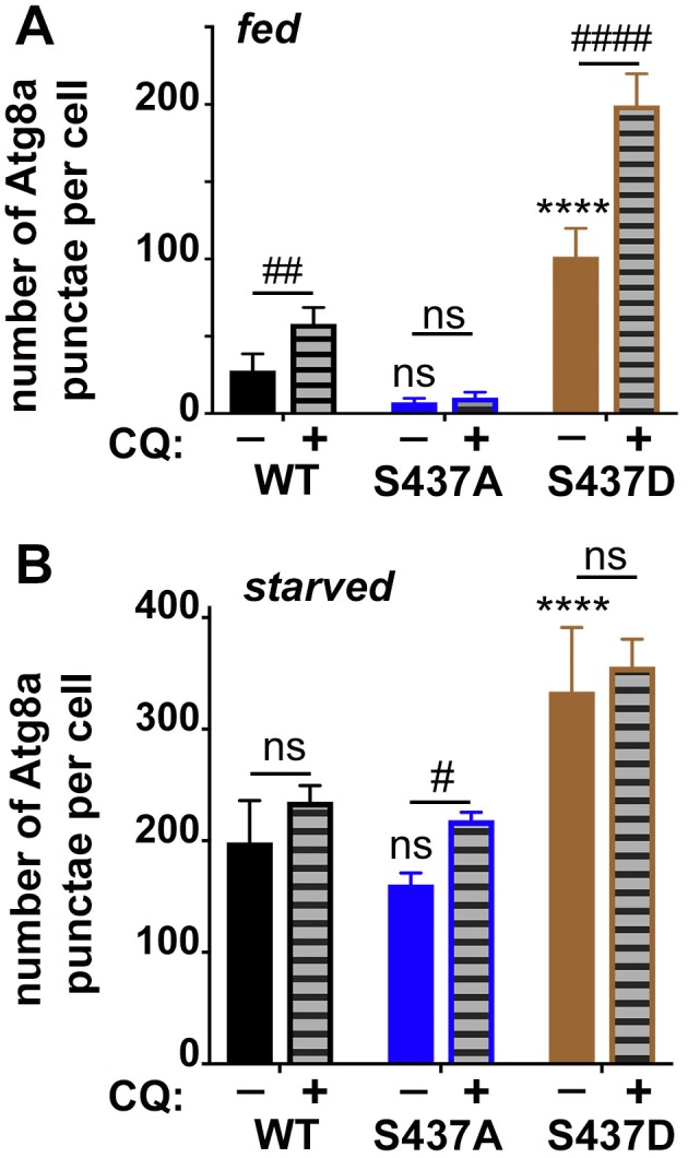 Figure 2—figure supplement 1.