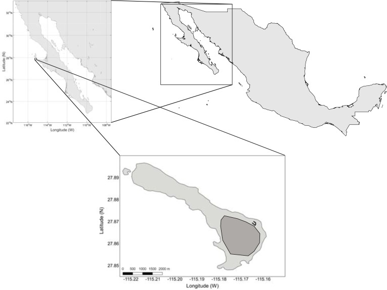 Fig 1