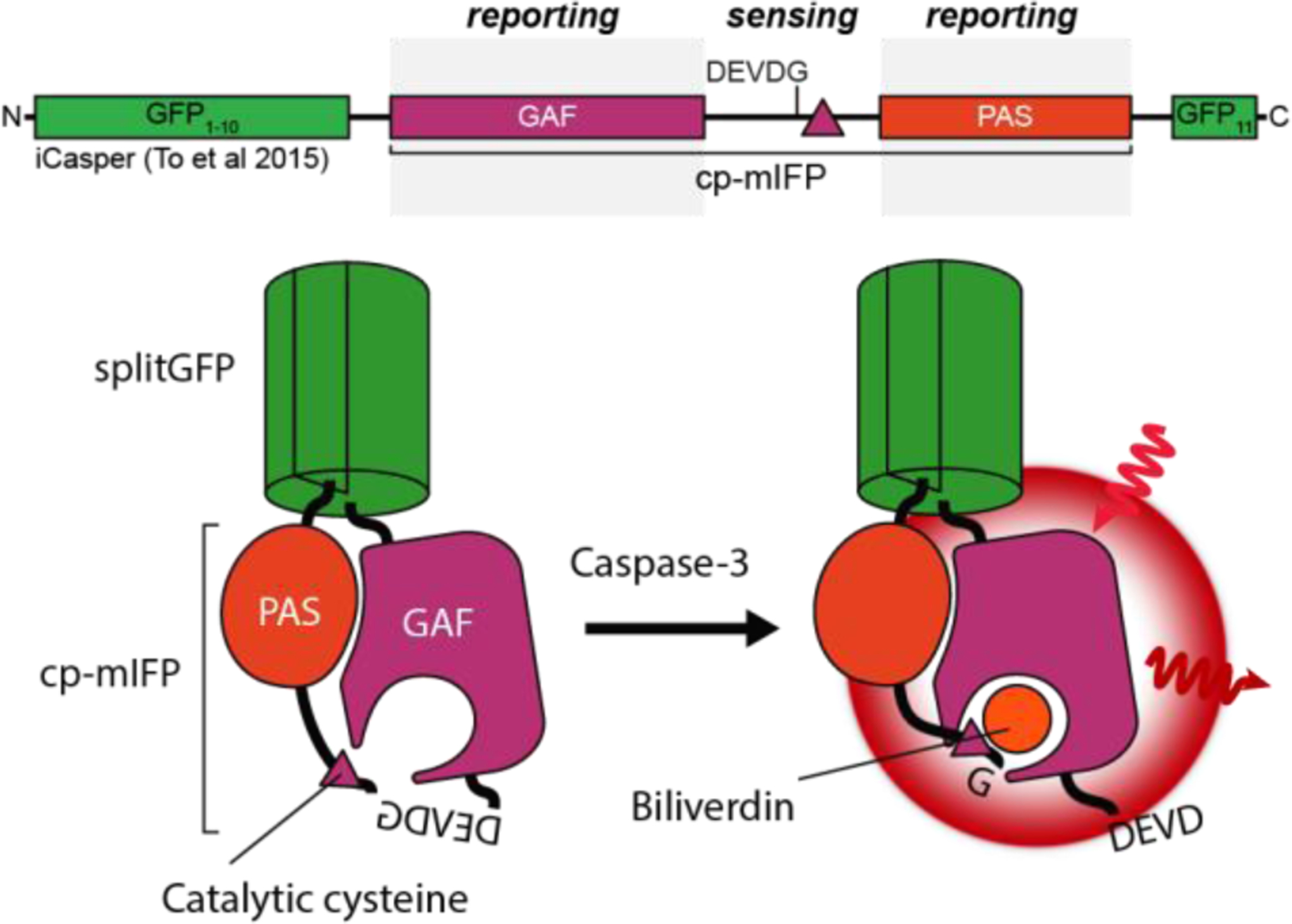 Figure 7: