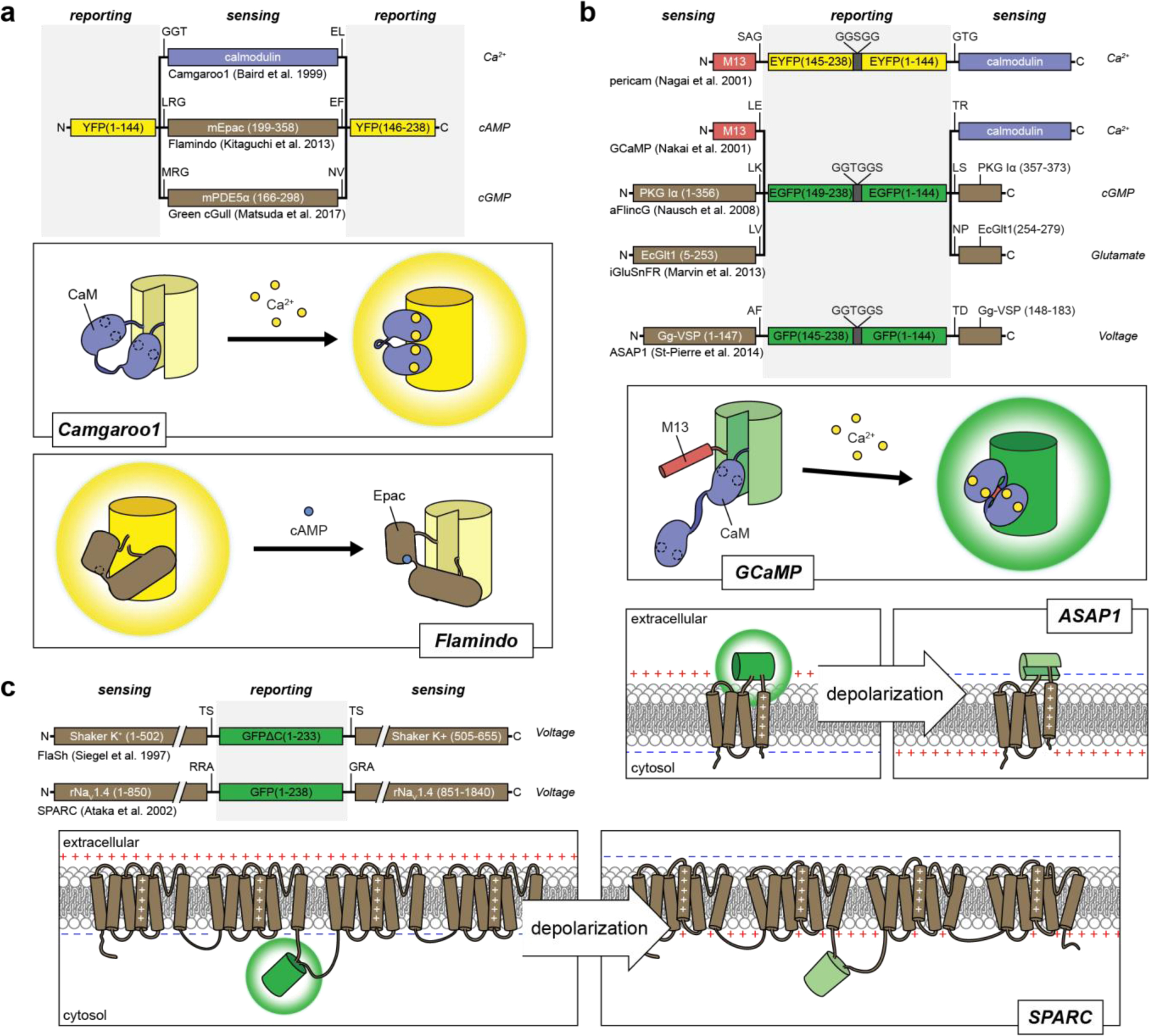 Figure 2: