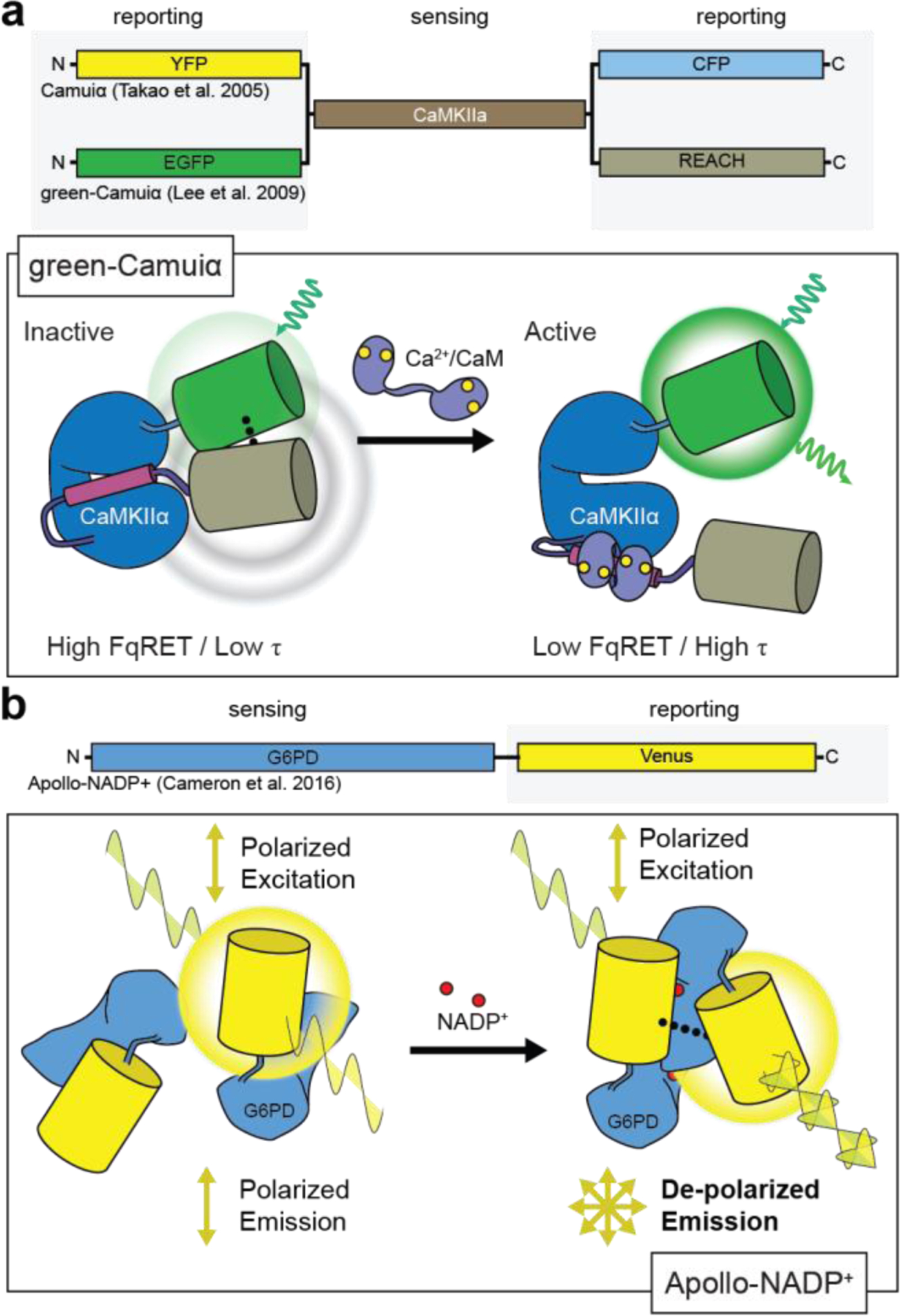 Figure 15: