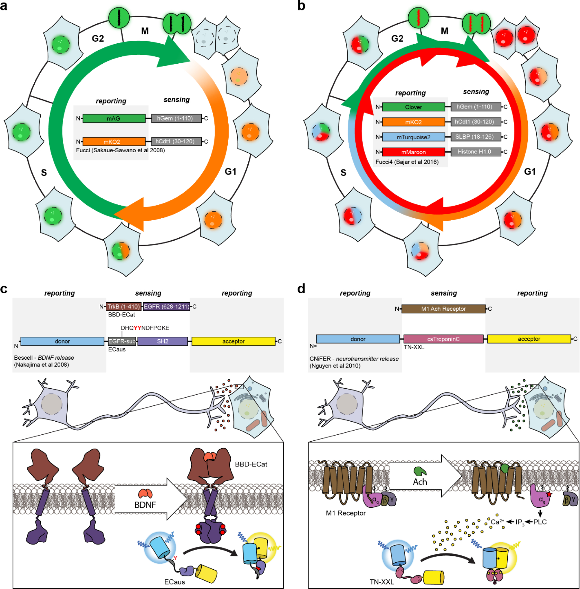 Figure 6: