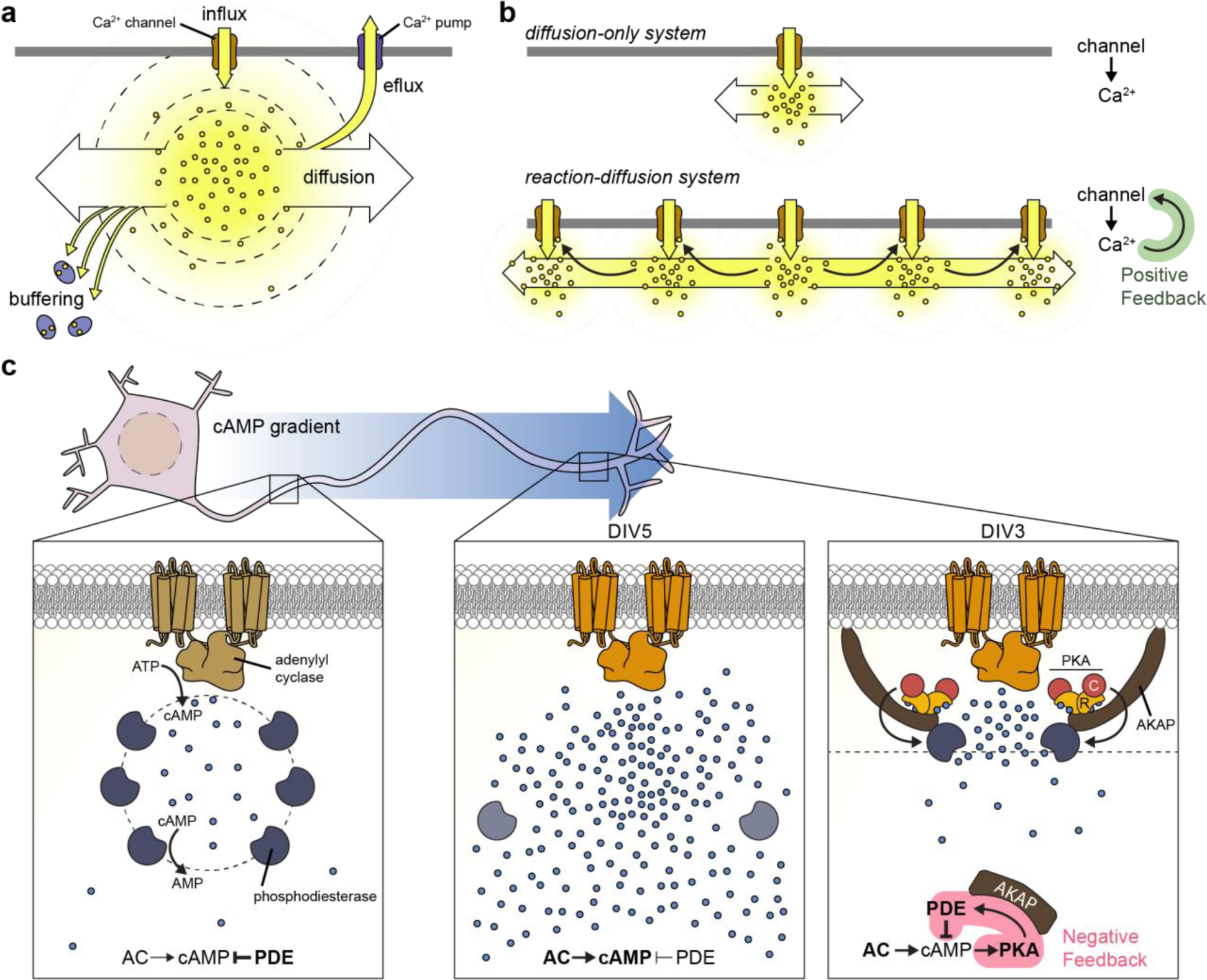 Figure 13: