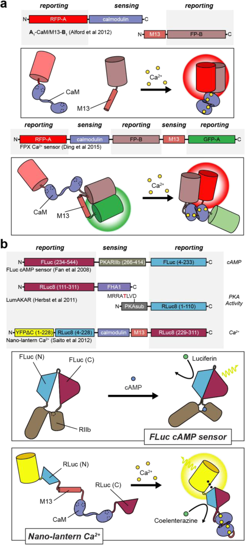 Figure 5: