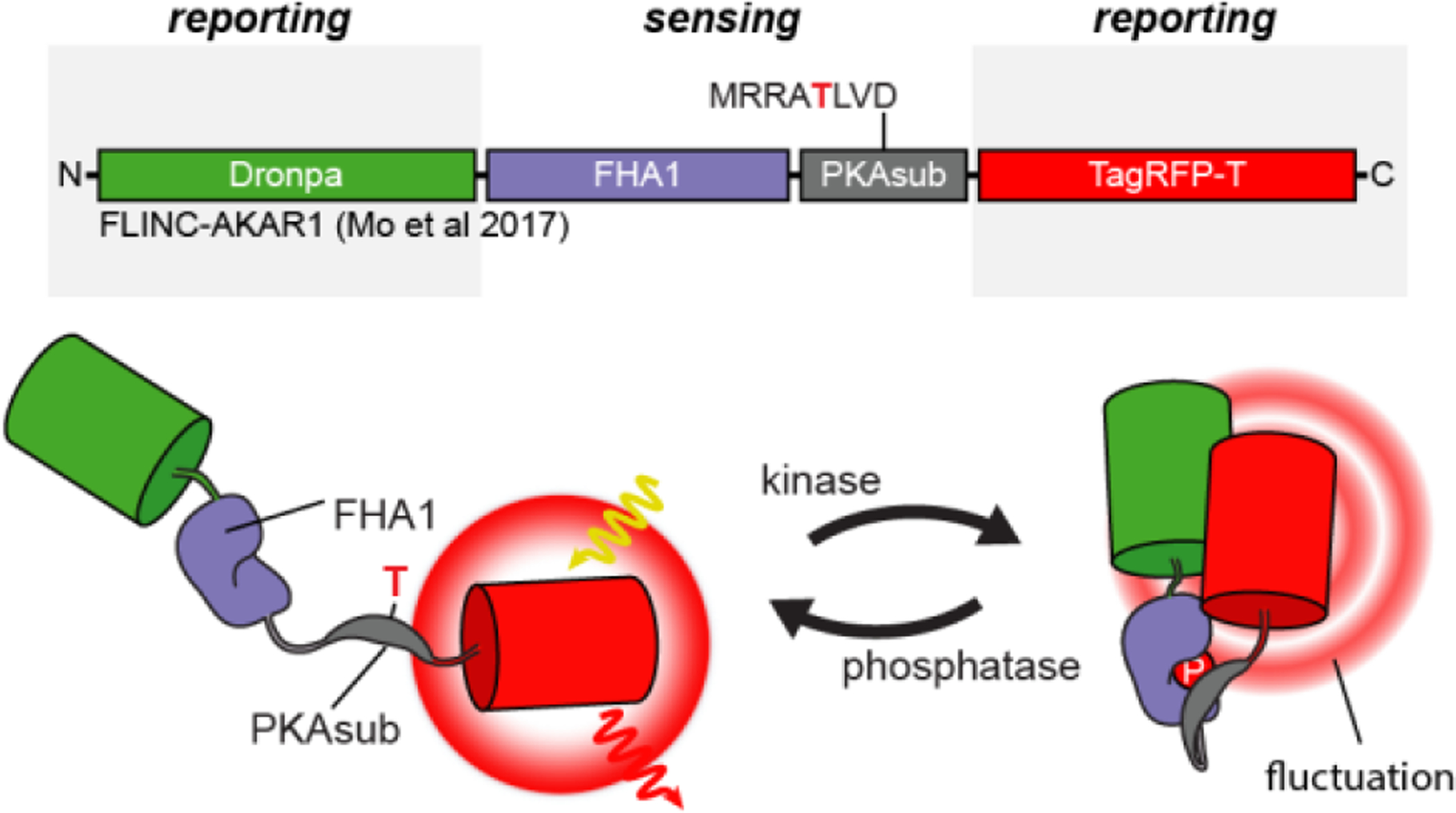 Figure 10: