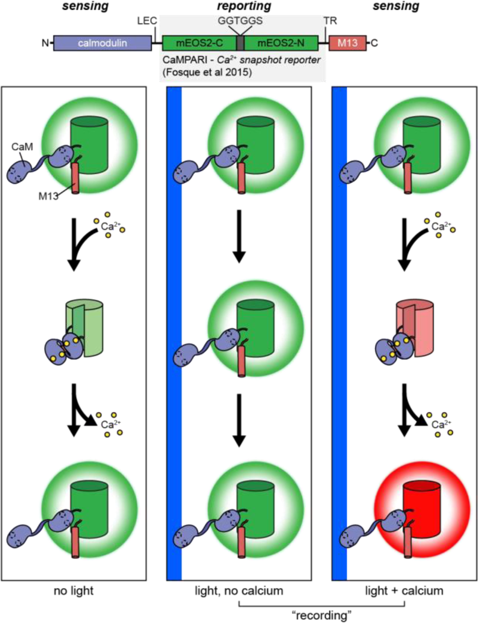 Figure 8: