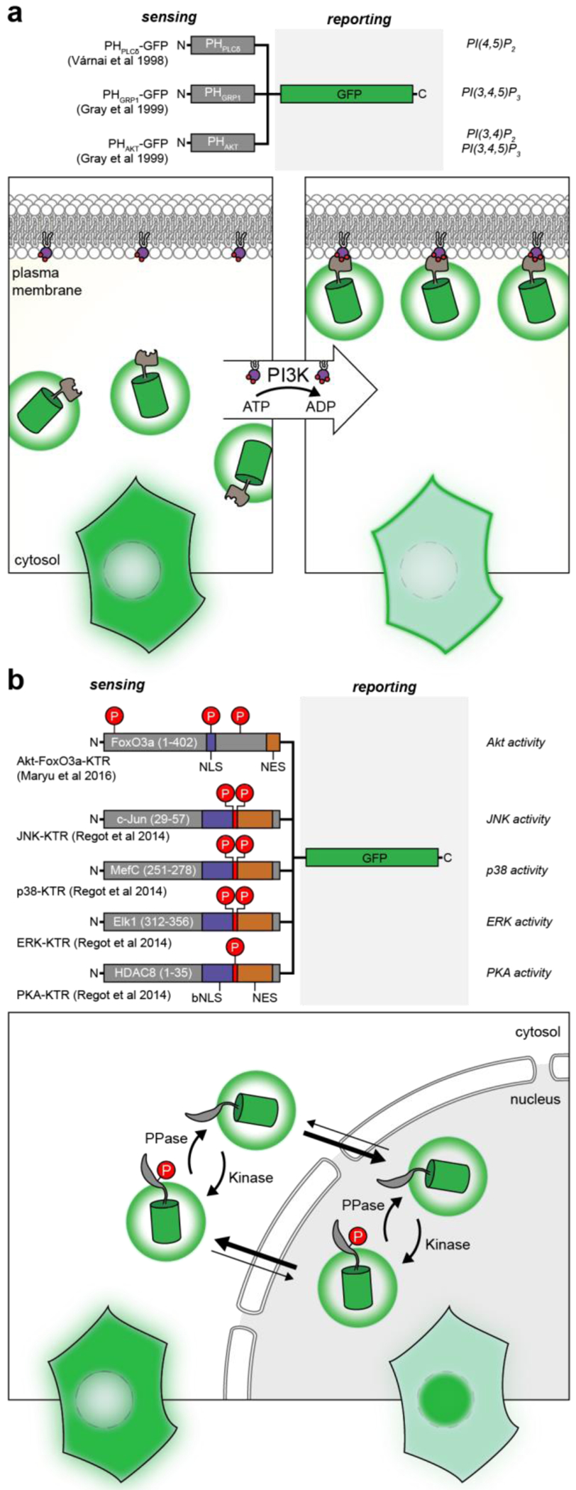 Figure 1: