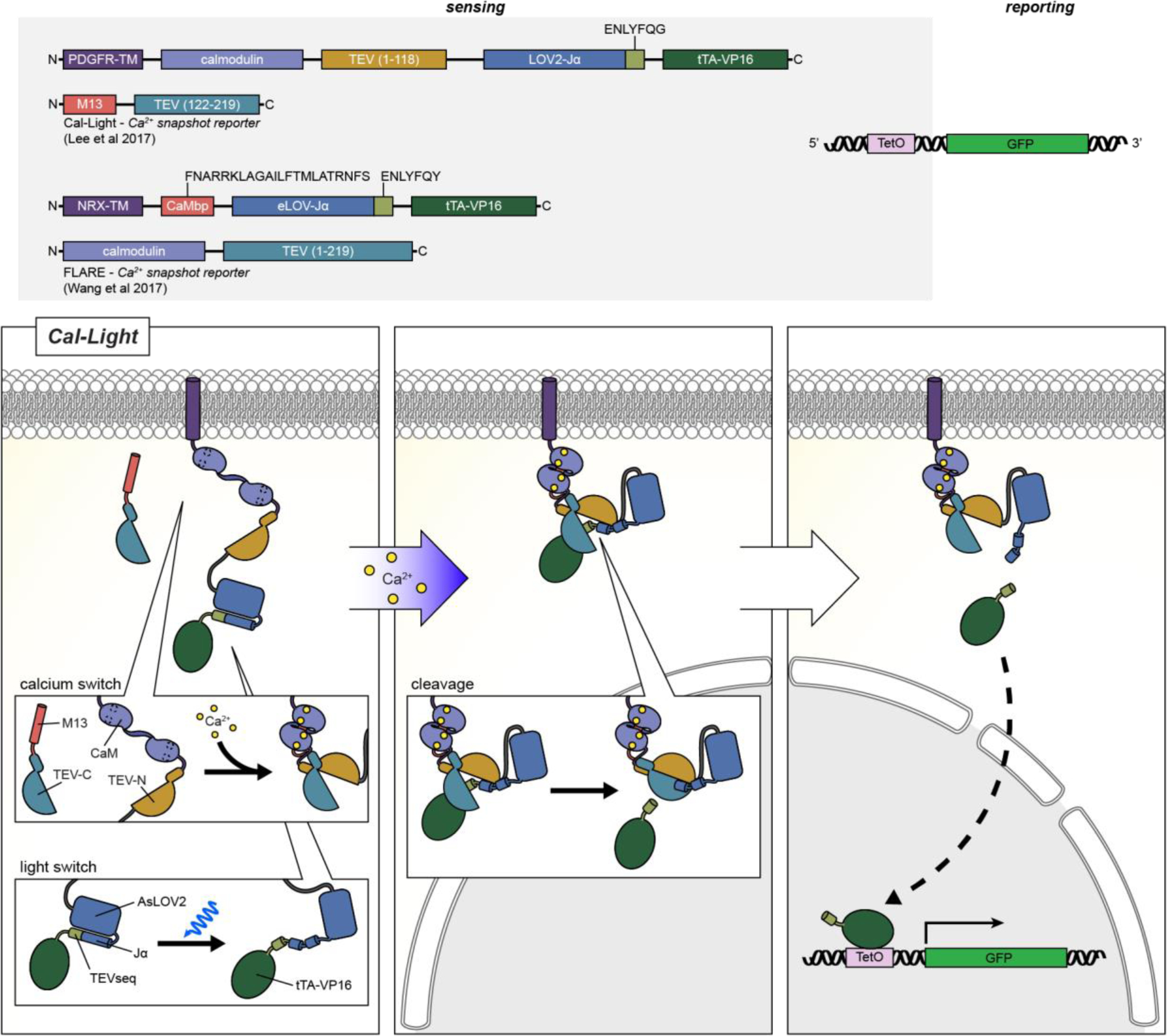 Figure 9: