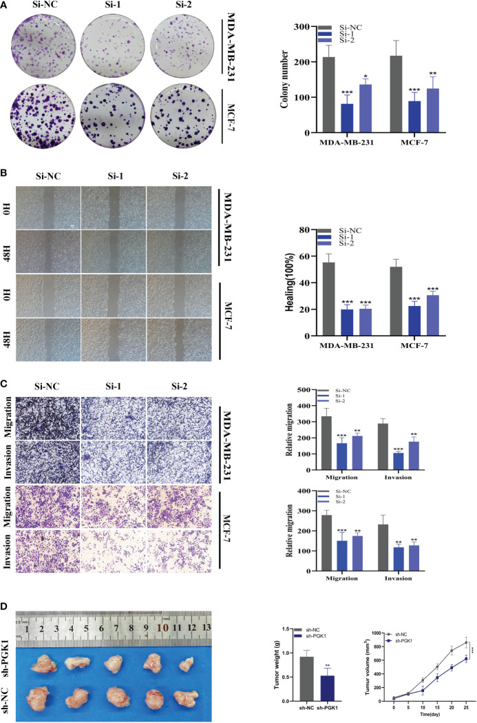 Figure 11