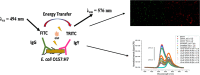 Image, graphical abstract