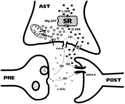 Fig 5.