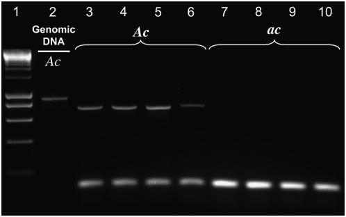 Figure 3.—