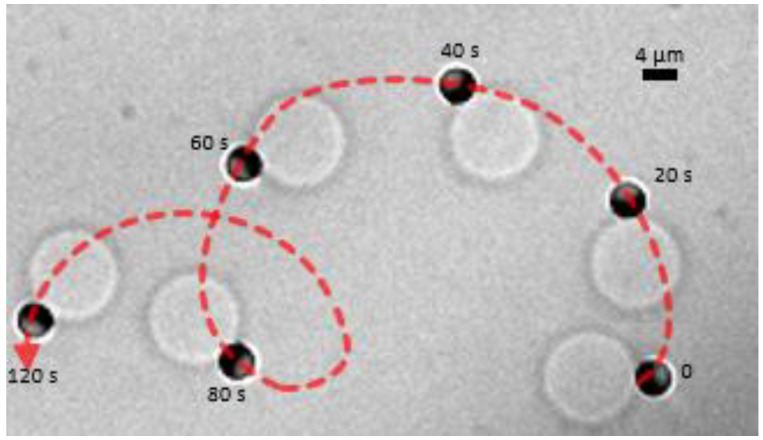 Figure 7