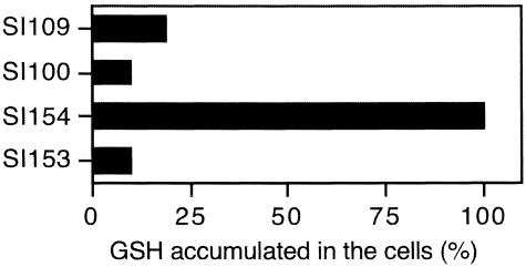 FIG.4.