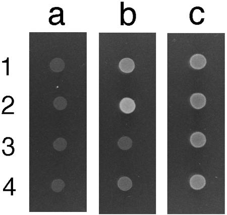 FIG. 6.