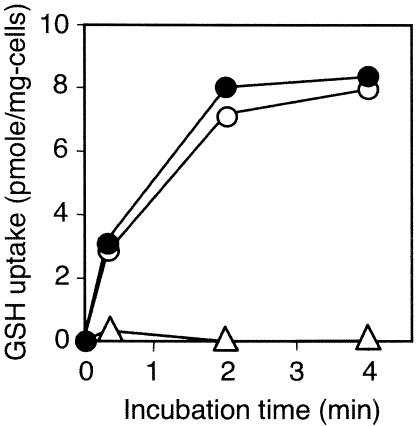 FIG. 5.