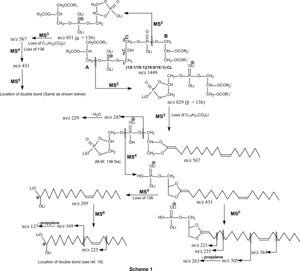 Scheme 1