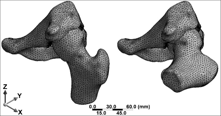 Fig. 2