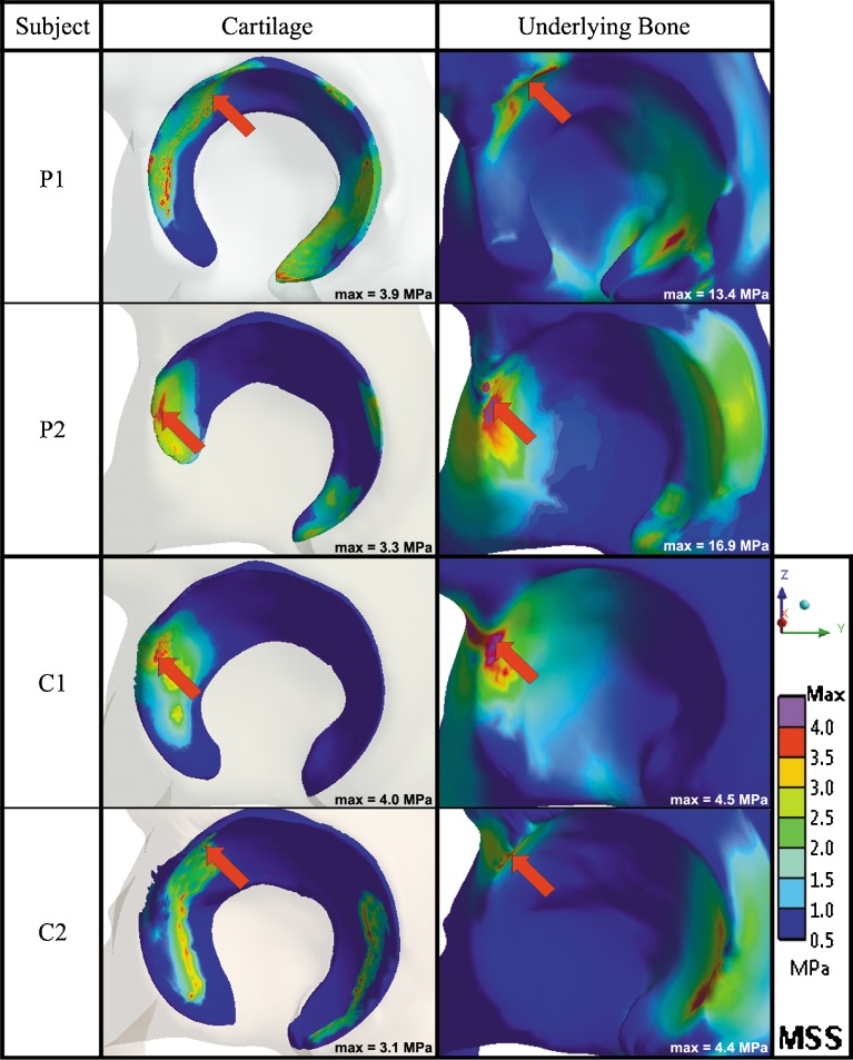 Fig. 3