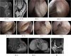 Fig. 4