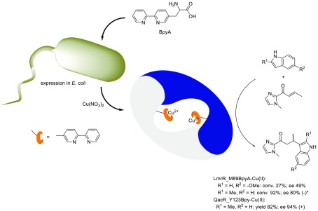 Scheme 2