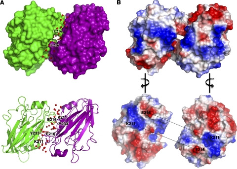 FIG. 3.