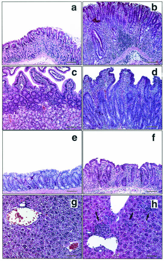 FIG.4.