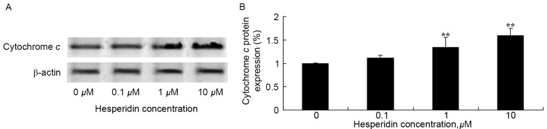 Figure 9.