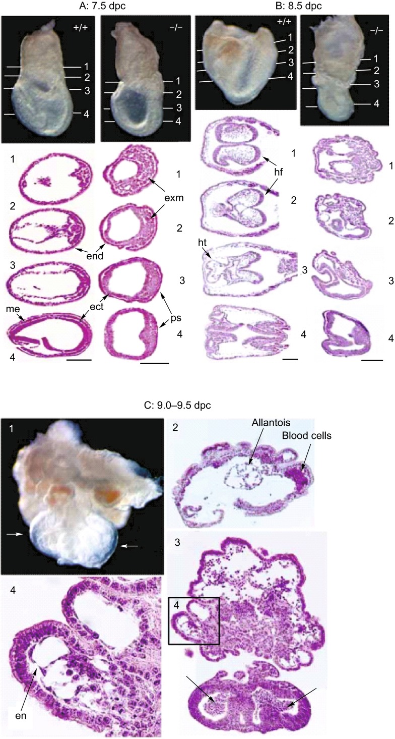 Figure 5