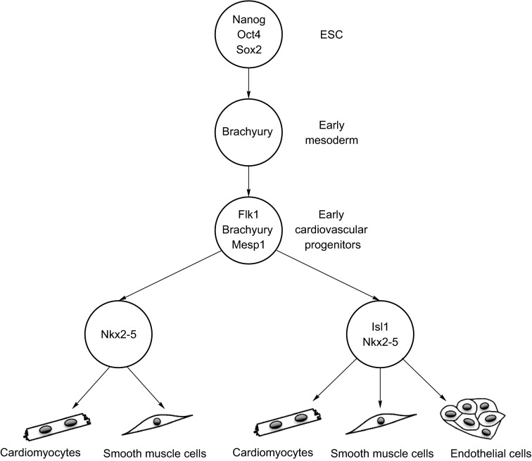 Figure 3