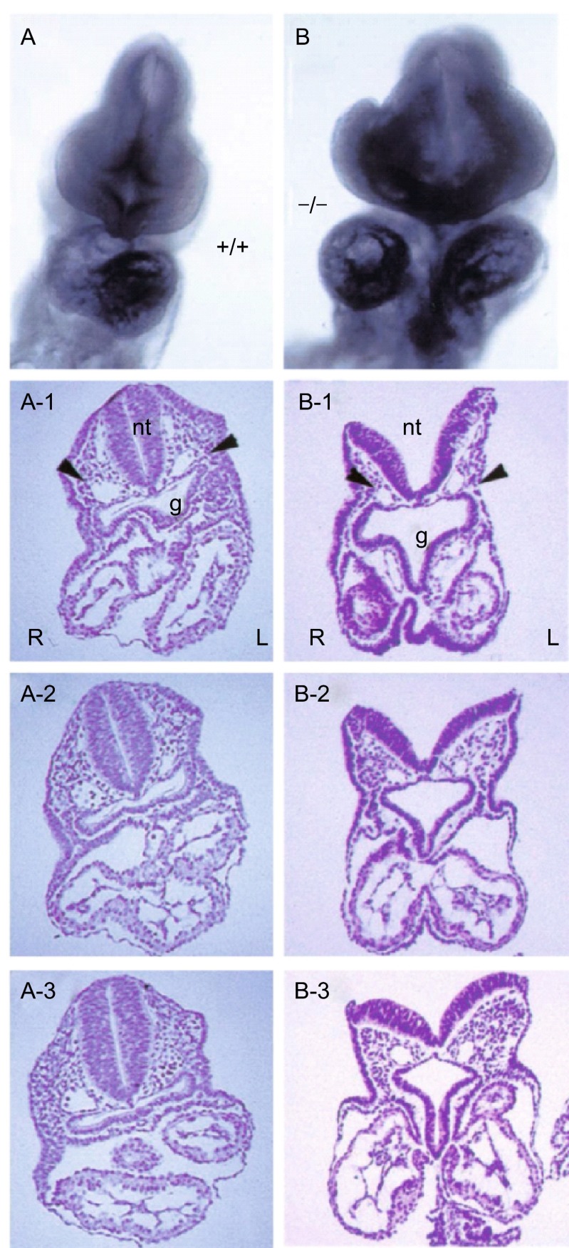 Figure 2