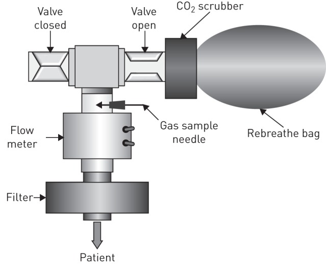 FIGURE 2