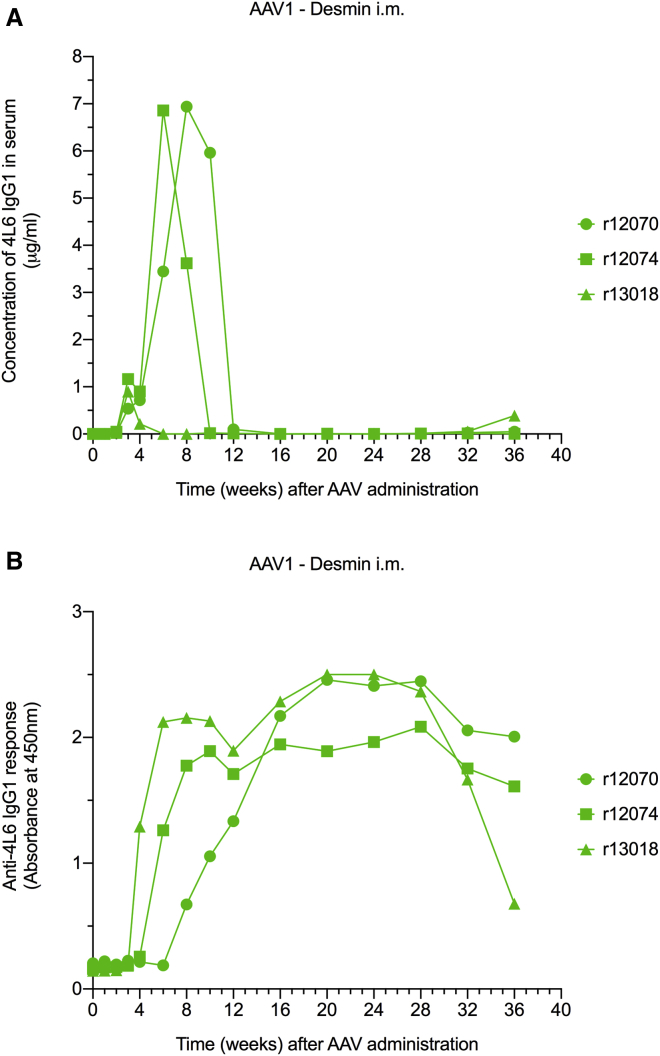 Figure 4