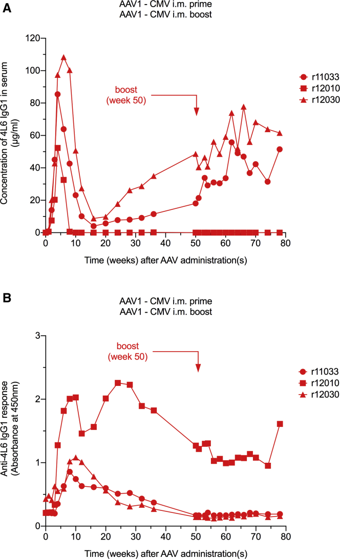 Figure 2