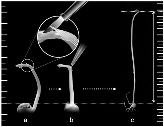 Figure 9