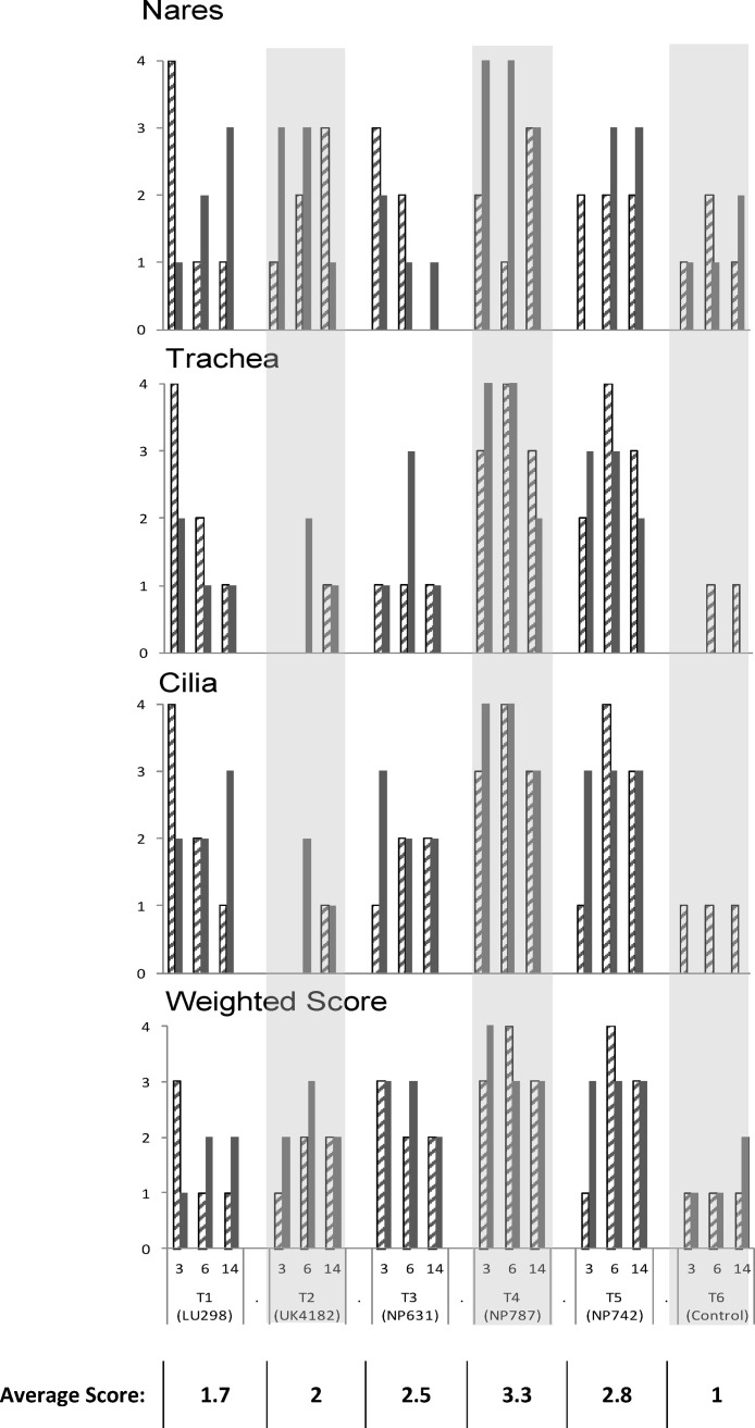 Fig. 3