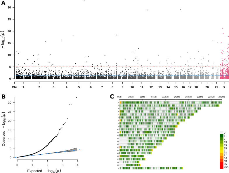 Fig. 1