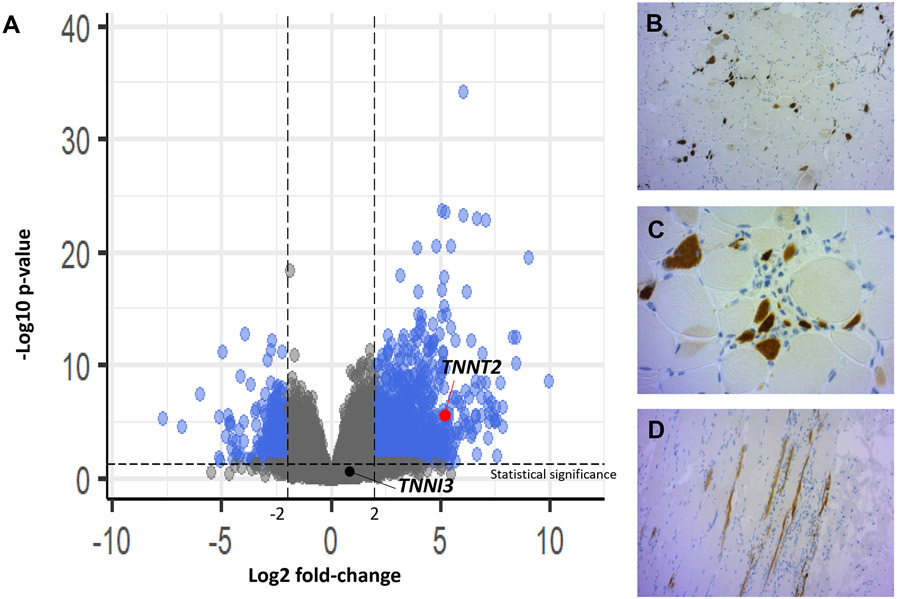 Figure 4: