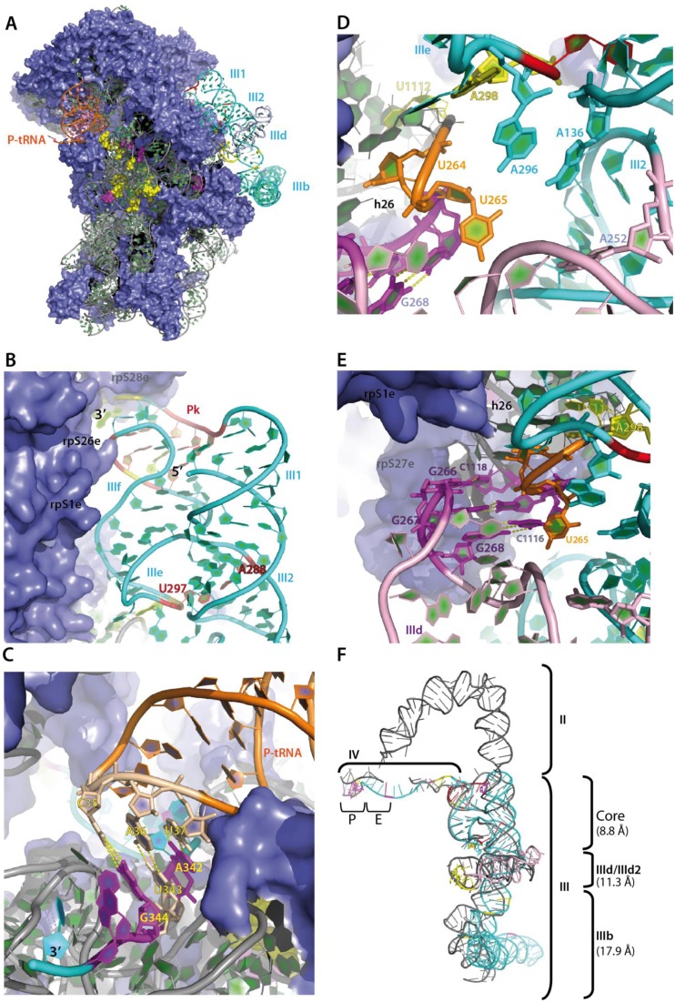 Figure 7.