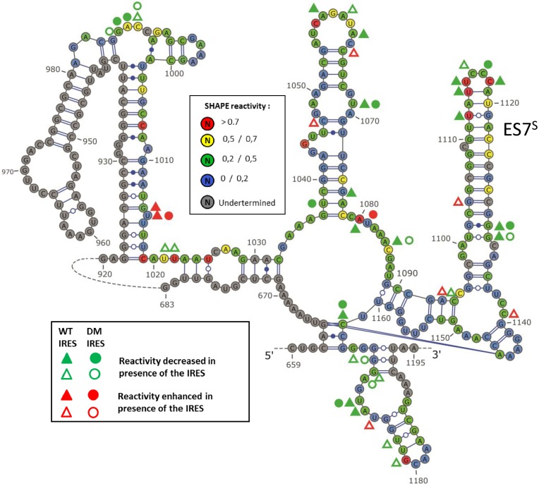 Figure 6.