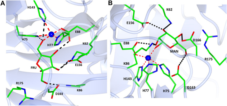 FIGURE 9