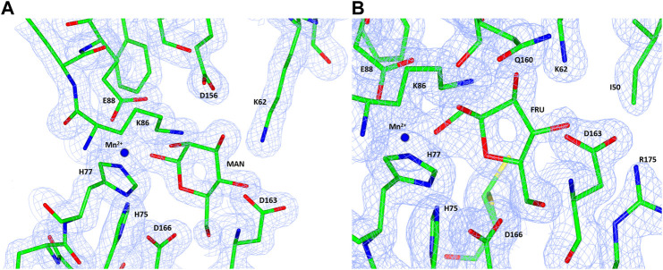 FIGURE 10